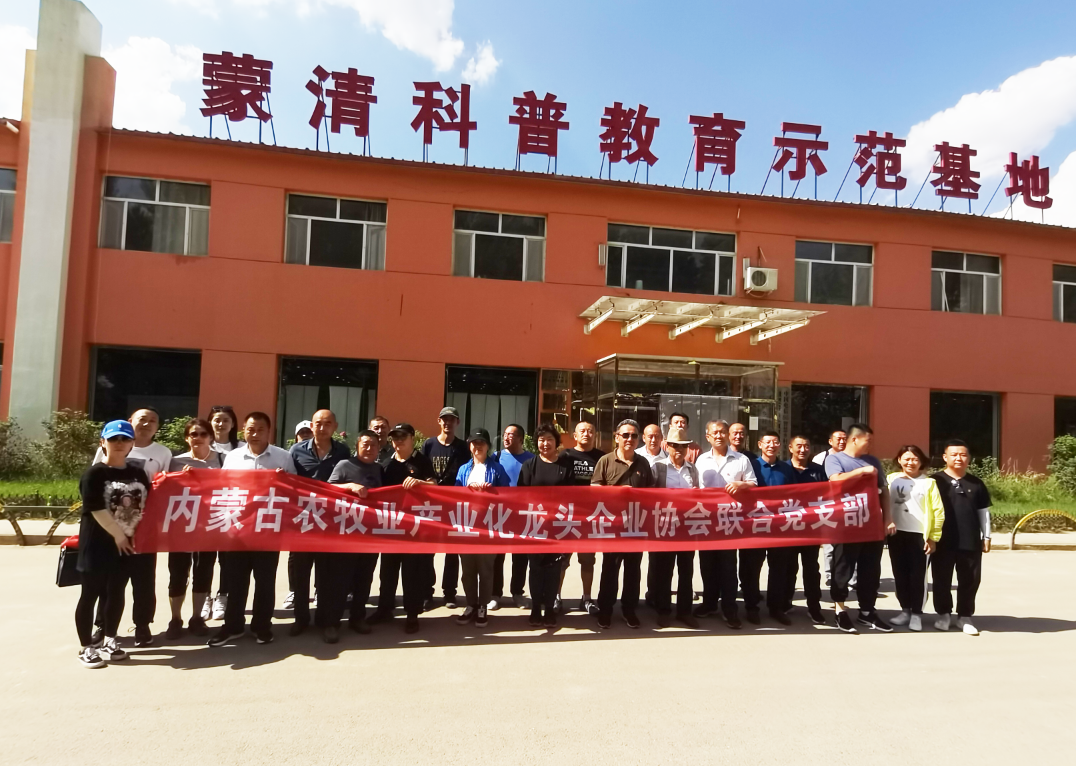 LDSPORTS官网（中国）科技公司联合党支部在清水河县组织“庆七一”主题党日活动